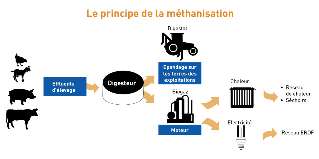 principe méthanisation